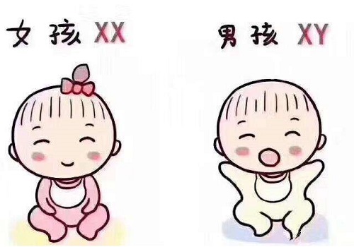 试管婴儿成功诞生是有多难？？
