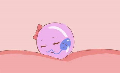 试管婴儿聪明吗?智商会有问题吗?