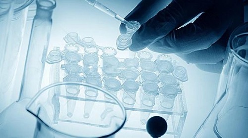 赴泰生子要辞职吗？一个周期需要多长时间？