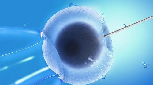 试管婴儿可以帮助染色体患者成功怀孕吗？