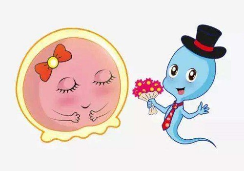 试管婴儿需要多钱一个疗程