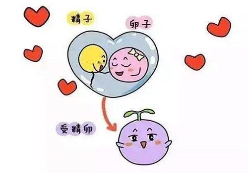 试管婴儿第一次费用高吗？