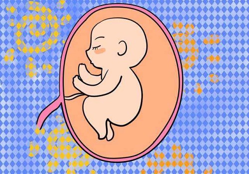 试管婴儿胚胎要达到什么标准才可以移植？