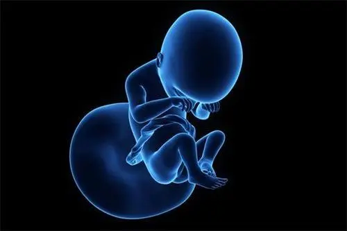 2022三代试管婴儿成功率有多高?_2