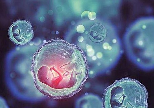 上海试管婴儿成功率排名影响因素有哪些?