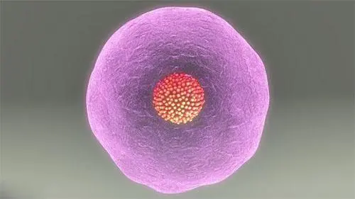 试管婴儿第三代做一次大概多少钱