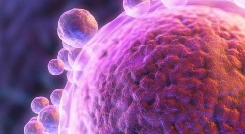 试管技术做一对多少钱