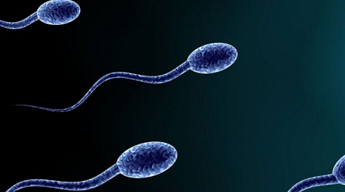 上海试管婴儿最好的医院排名饮食要注意什么?