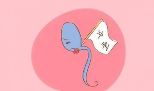 试管婴儿手术过程要多久？多久才能正常工作？