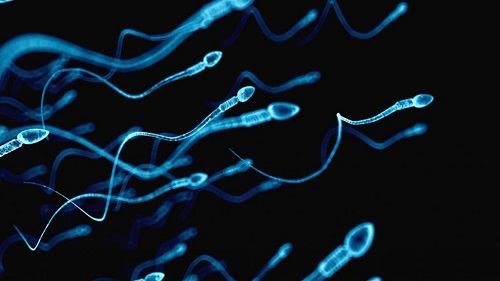 试管婴儿男方需要做的检查是哪些？男方需要提前做些什么？