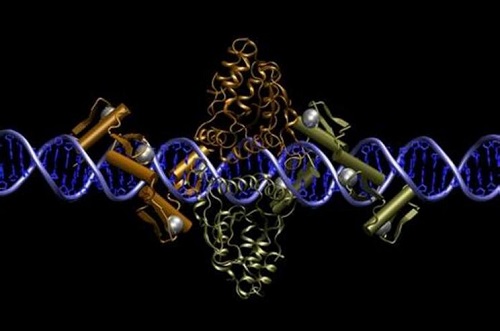 上海试管婴儿医院怎么选？费用高吗？