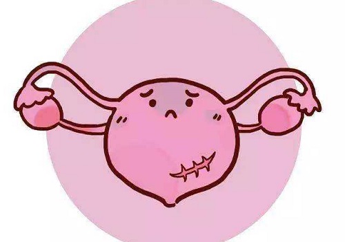 试管婴儿需要的时间