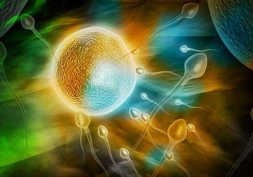 试管婴儿第三代辅助生殖技术流程怎样的？