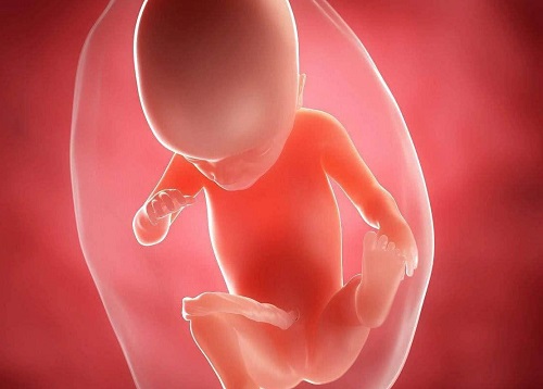 二代试管能选出最好的精子吗？试管婴儿期间该如何去降调？