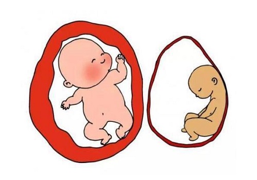 试管婴儿服务公司合法吗？