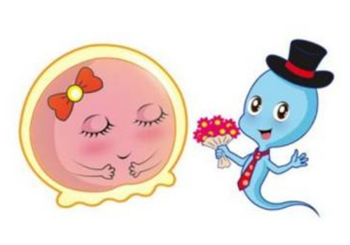 俄罗斯试管婴儿为什么比国内贵