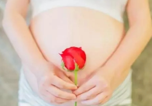为什么美国试管婴儿收费差异