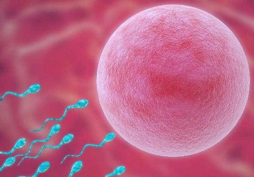 佛山妇幼试管第三代价位是多少