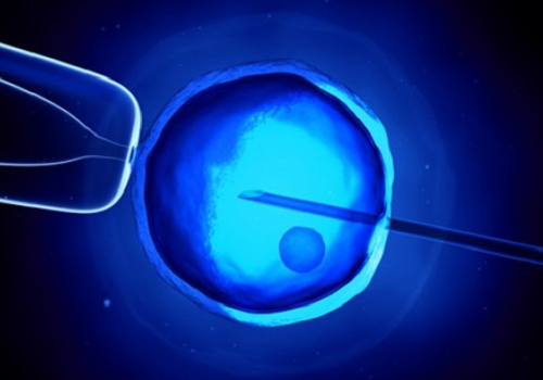 第二代试管费用多少一次