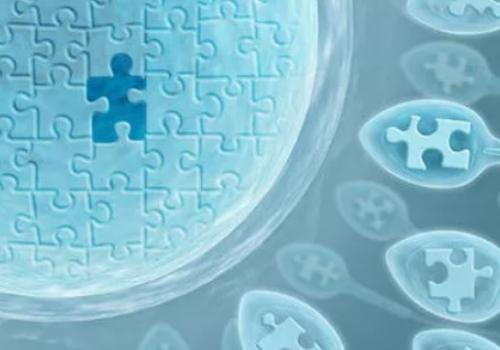 第三代试管婴儿手术的费用为什么这么贵