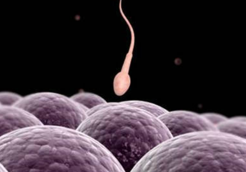 第三代试管婴儿手术多少钱