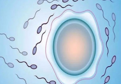 江西省妇幼保健院试管婴儿多少钱