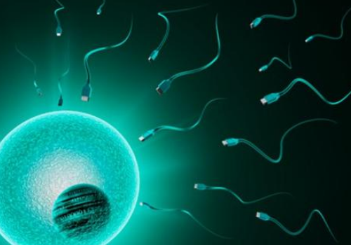 南京鼓楼医院做试管婴儿多少钱