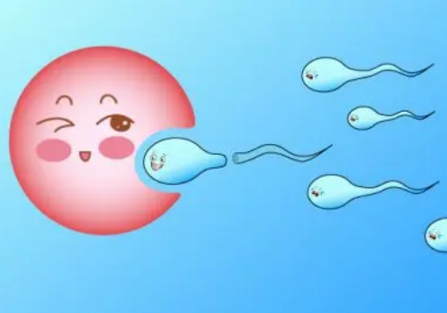 南昌妇幼保健院做试管要多少钱