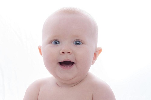 俄罗斯试管婴儿胚胎的发育过程