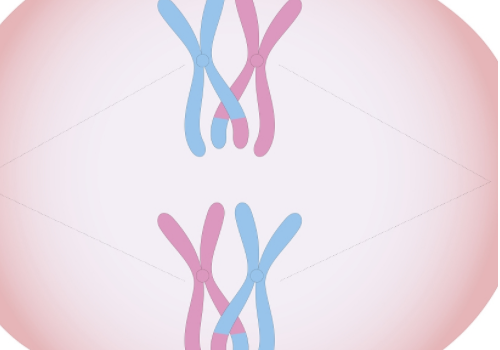 试管婴儿怎么做有什么流程呢？​