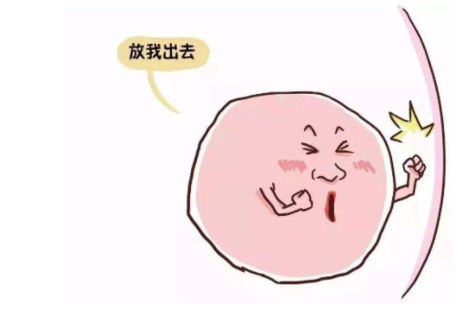 俄罗斯试管移植成功后要注意哪些事项？
