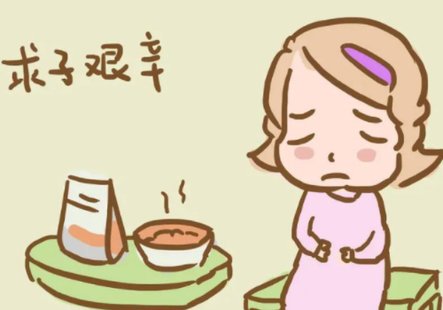 在美国做试管的费用多少?