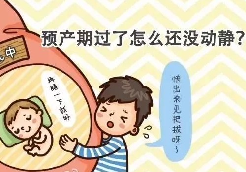 美国试管咨询成功率提高？