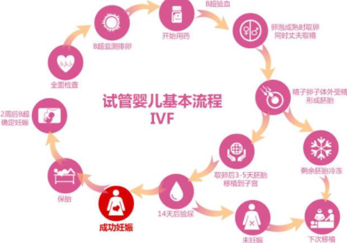 国外试管婴儿费用？