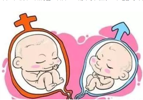 俄罗斯试管经验成功率高吗？​