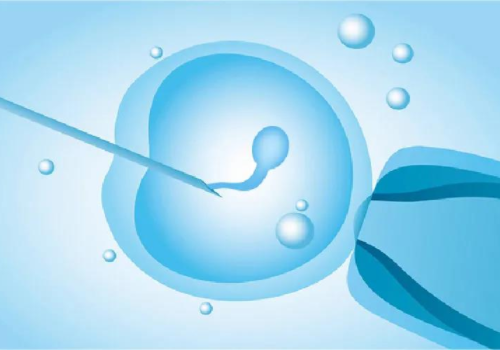 二代试管婴儿的成功率及费用？