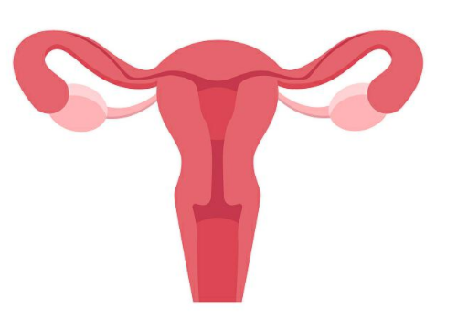 俄罗斯做试管婴儿可以女吗？